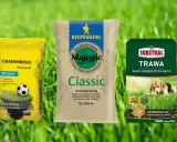 Ranking nawozów do trawy: Barenbrug RPR Lawn, Kiepenkerl Majestic Classic i Substral Trawa Samo Zagęszczająca. Wybierz najlepszy dla swojego ogrodu!