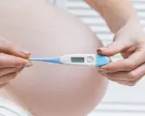 Mani di donna incinta tengono un termometro digitale. Monitorare la temperatura è importante per escludere la febbre in gravidanza.