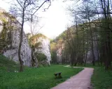 Ścieżka w Dolinie Mnikowskiej prowadzi przez zieloną łąkę, otoczoną skalnymi ścianami i drzewami.