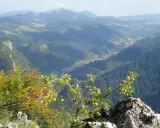 Widok z góry na dolinę Pienin, gdzie widać lasy, pola i małą wieś. W oddali góry, a na pierwszym planie gałęzie drzew i skały. Sokolicę widać w oddali.