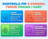 Grafika informuje o kontroli PIP z donosu, przedstawiając prawa pracodawcy, zakres kontroli, możliwe kary i działania pokontrolne.