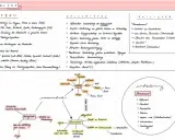 Metapher Beispiele für Schule: Analyse von Aufbau, Stilmitteln & Romantik. Ein Glossar mit Begriffen wie "Metapher" hilft beim Verständnis.