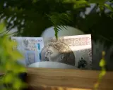 Pięćset złotych ukryte wśród zieleni. Może to początek oszczędzania na coś wyjątkowego, albo po prostu zasiedzenie w naturze z pieniędzmi.