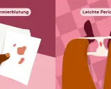 Vergleich: Minimale hellrote Blutung (Schmierblutung) im 3. Trimester vs. leichte Periode.