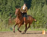 Reiterin in brauner Reitjacke und Hut auf einem braunen Pferd, das im Trab über den Reitplatz galoppiert. Ein ruhiges Bein beim Reiten ist zu sehen.
