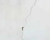 Una grieta fina y profunda recorre una pared blanca, mostrando diferentes tipos de grietas en techos y paredes.
