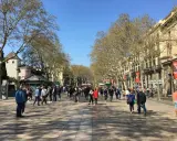 Tłum ludzi spaceruje po słynnej alei La Rambla w Barcelonie, otoczonej drzewami i zabytkowymi budynkami.