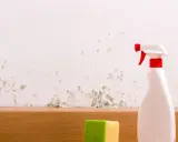 Schimmel an der Wand wird mit einem Sprühflaschenreiniger und einem Schwamm bekämpft. Essig gegen Schimmel ist eine natürliche Lösung.