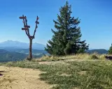 Wysoki wierch z drogowskazem i widokiem na góry. Rodzina z plecakami podziwia panoramę.