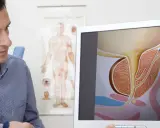 Lekarz pokazuje pacjentowi na monitorze schemat, wyjaśniając, co to prostata i jak wygląda jej budowa.