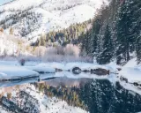 Zimowe góry z dziećmi to idealne miejsce na rodzinne wycieczki. Śnieg, lasy i odbijające się w wodzie góry tworzą magiczny krajobraz.