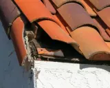 Tejas de terracota rotas y madera expuesta, indicando la necesidad de reparar tejado antiguo.