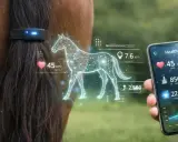 Pferd mit einem Horse Tracker am Schweif. Daten wie Herzfrequenz und Distanz werden auf einem Smartphone angezeigt.