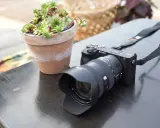 Cámara Sony a6600 con lente y suculenta en maceta sobre mesa de madera.