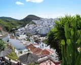 Vista panorámica de pueblos blancos andaluces, típicos de la costa, con montañas verdes al fondo. Un cactus gigante y palmeras en primer plano.