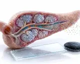 Pancreas che rilascia amilasi e lipasi. Le sfere blu e arancioni rappresentano gli enzimi digestivi.