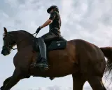 Reiter im schwarzen Outfit im Trab auf einem braunen Pferd, der Himmel ist bewölkt.