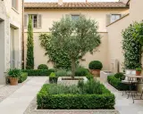 Giardino piccolo moderno con ulivo centrale, siepi squadrate, fontana e tavolino. Idee per un angolo verde raffinato.