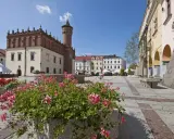 Tarnów co zwiedzić? Rynek z ratuszem i kwitnące pelargonie. Idealne miejsce na spacer i odkrywanie uroków miasta.