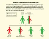 Albero genealogico che illustra le sindromi genetiche nei bambini, con un padre sano e una madre portatrice sana, mostrando la trasmissione del gene recessivo legato all'X.