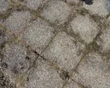 Grå stenplattor med mossa mellan fogarna. Ett klassiskt husmorstips för att ta bort mossa på stenplattor kan behövas här.