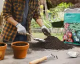 Un jardinier prépare un terreau potager, idéal pour les légumes, avec une jeune pousse de tomate.