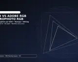 Confronto SRGB, Adobe RGB, ProPhoto RGB per editing e stampa. Grafica in formato Photoshop con diagrammi di gamut.