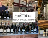 Jean-Paul Brun, vigneron du Domaine des Terres Dorées, présente ses vins. La cave et les cuves de vinification sont visibles.