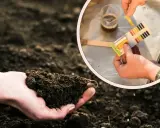 Jak zrobić płynny nawóz z obornika granulowanego? Testowanie pH gleby i przygotowanie naturalnego nawozu.