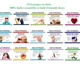 Tableau présentant 15 synergies d'huiles essentielles pour massage : anti-stress, articulations, jambes, relaxante, aphrodisiaque, respiration, sensuel, pieds, dos, corps, visage, anti-moustique, après sport, purifiant, énergisant.