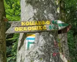 Drewniany drogowskaz "Kowadło 3½, Orłowiec 8½" na drzewie w lesie. Obok znak szlaku turystycznego.