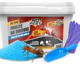 Mrówki w ogrodzie: wróg czy sprzymierzeniec? Skuteczne metody walki