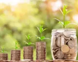 Plantas verdes crecen sobre pilas de monedas y un frasco lleno de ellas, simbolizando el crecimiento de las finanzas.
