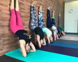 Grupp av kvinnor som utövar shakti yoga genom att stå på huvudet mot en tegelvägg.