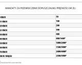 Tabela mandatów za przekroczenie prędkości: od 50 zł za jazdę do 10 km/h za szybko, do 2500/5000 zł za jazdę o 71 km/h i więcej.