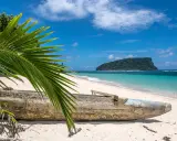 Piękna plaża na wyspach Samoa z tradycyjną łodzią i palmą w tle.