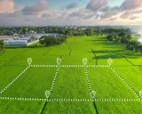 Zielone pole ryżowe z zaznaczonymi granicami działki, sugerujące planowanie inwestycji i potencjalną opłatę adiacencką.