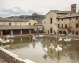 Bagno Vignoni: cosa vedere? La vasca termale con installazioni artistiche di abiti da ballo e un cavallo bianco.
