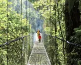 Un adulto y un niño caminan por un puente colgante en la exuberante selva de Costa Rica con niños, disfrutando de la aventura.