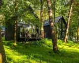 Nowoczesne **hotel w lesie**, z drewnianymi tarasami i dużymi oknami, otoczony zielenią.