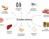 Orzechy brazylijskie, małże, tuńczyk, sardynki, stek wołowy, wątroba, ryż, fasola i chleb to źródła selenu.