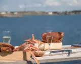 Skaldjur och bubbel vid havet, en perfekt aktivitet i Göteborg.