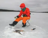 Person is pimpel fiske vid ett hål i isen. Fångsten ligger bredvid.