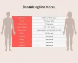 Tabela z wynikami badania ogólnego moczu: parametry, wartości referencyjne, barwa, przejrzystość, ciężar właściwy, odczyn, białko, glukoza, ketony, azotyny, bakterie.