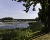Spokojny zalew zielona otoczony lasem, z ścieżką spacerową i drzewami wzdłuż brzegu.