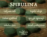 Spirulina: odżywia, łagodzi alergie, podnosi wydolność, sprzyja regeneracji, pobudza detox. Dla kogo spirulina? Dla każdego, kto dba o zdrowie.