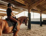 Jazda konna w ujeżdżalni. Kobieta w kasku i brązowych bryczesach siedzi na kasztanowatym koniu. Widać różne rodzaje ogłowia, które są kluczowe w komunikacji z koniem.