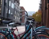 Rowerzyści o różnym wzroście wybierają odpowiedni romet rozmiar ramy. W tle miejska zabudowa.