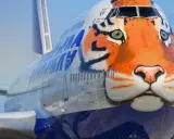 Ein riesiges Flugzeug mit einem beeindruckenden Tigergesicht als Bemalung. Der Tiger blickt wachsam in die Ferne.