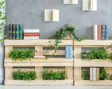 Scaffali in pallet con piante e libri, perfetti per idee per abbellire casa fai da te.